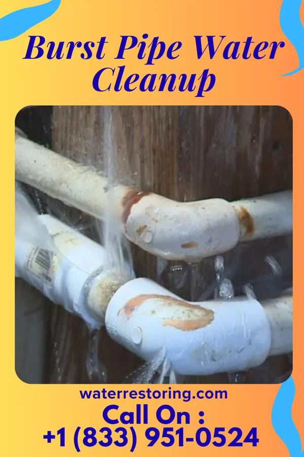 Burst Pipe Water Cleanup in Hermitage, PA
