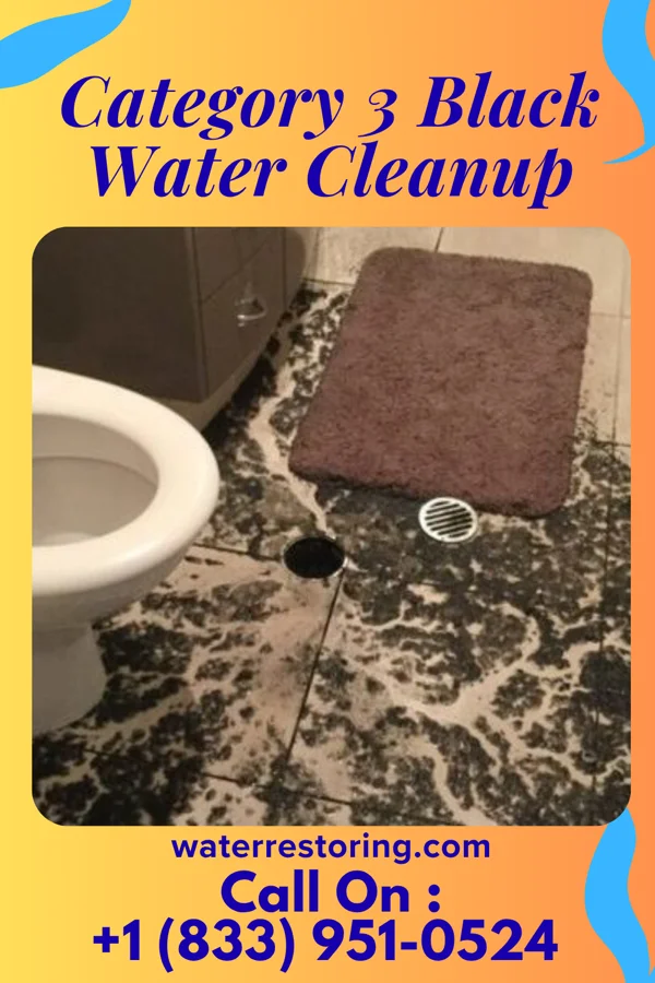 Category 3 Black Water Cleanup in Hermitage, PA