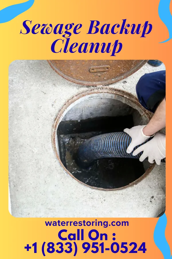 Sewage Backup Cleanup in Hermitage, PA