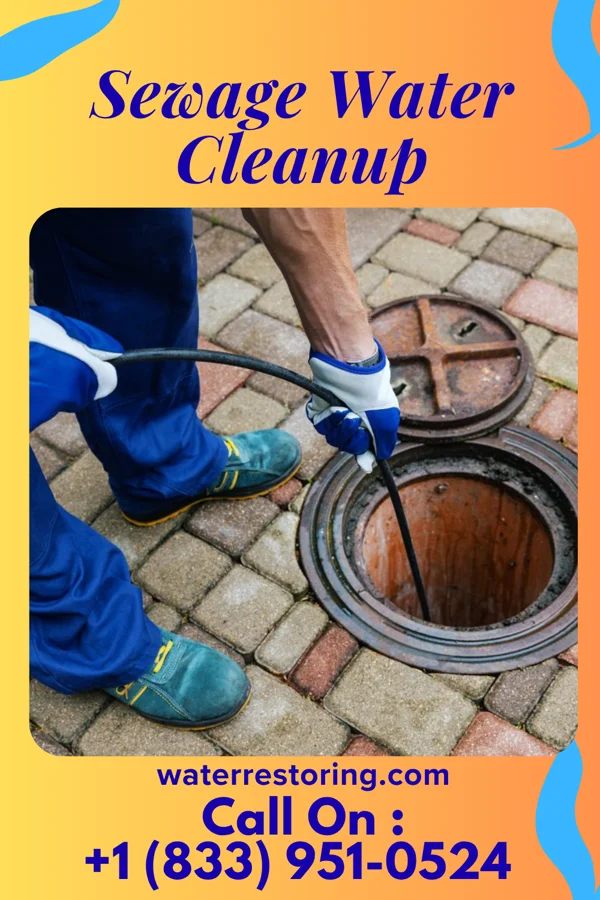 Sewage Water Cleanup in Hermitage, PA