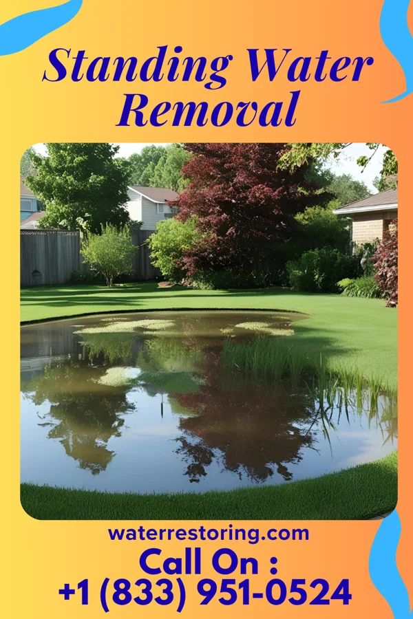 Standing Water Removal in Hermitage, PA
